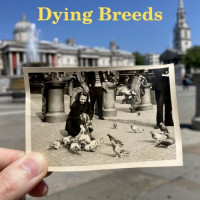 Dying Breeds